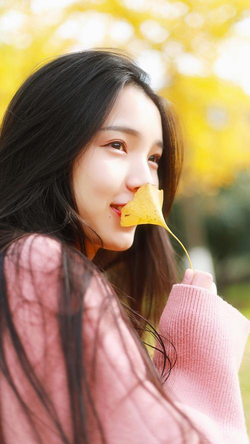 下载安装精东影业app主界面展示