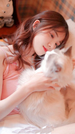 下载安装黄色软件界面展示